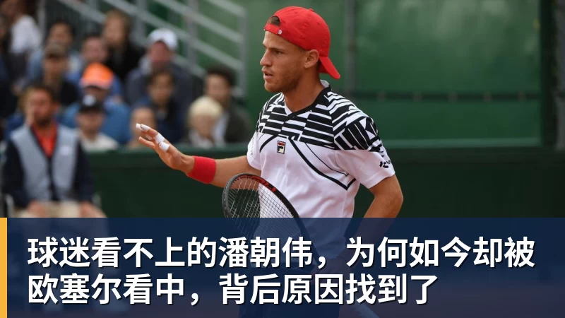 球迷看不上的潘朝伟，为何如今却被欧塞尔看中，背后原因找到了